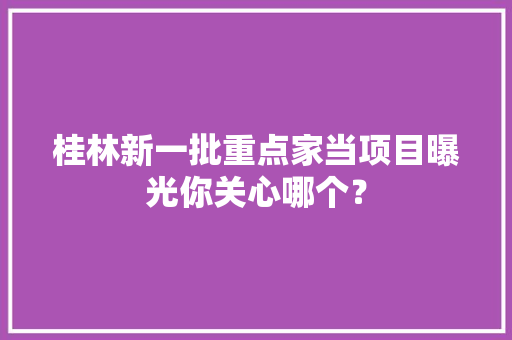 桂林新一批重点家当项目曝光你关心哪个？ 桂林新一批重点家当项目曝光你关心哪个？ 智能家居