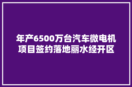 年产6500万台汽车微电机项目签约落地丽水经开区
