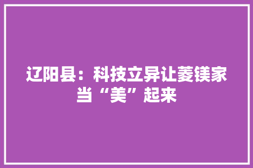 辽阳县：科技立异让菱镁家当“美”起来