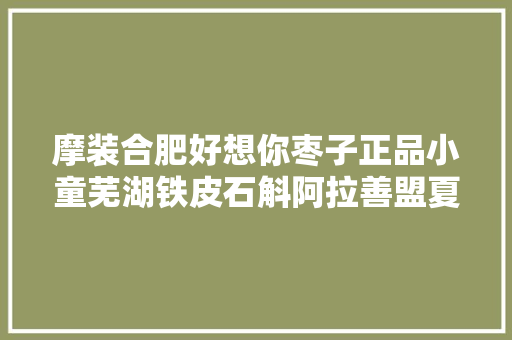 摩装合肥好想你枣子正品小童芜湖铁皮石斛阿拉善盟夏装女装韩版连衣裙婴口m脚公司
