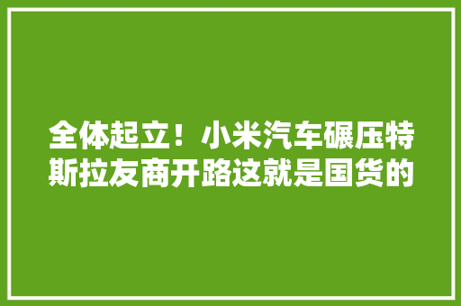 全体起立！小米汽车碾压特斯拉友商开路这就是国货的同病相怜 全体起立！小米汽车碾压特斯拉友商开路这就是国货的同病相怜 智能家居