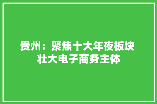 贵州：聚焦十大年夜板块 壮大电子商务主体
