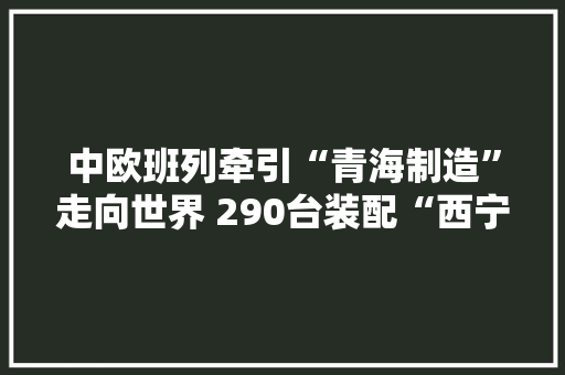 中欧班列牵引“青海制造”走向世界 290台装配“西宁造”新能源汽车销往中亚 中欧班列牵引“青海制造”走向世界 290台装配“西宁造”新能源汽车销往中亚 人工智能