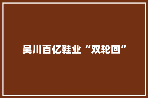 吴川百亿鞋业“双轮回”