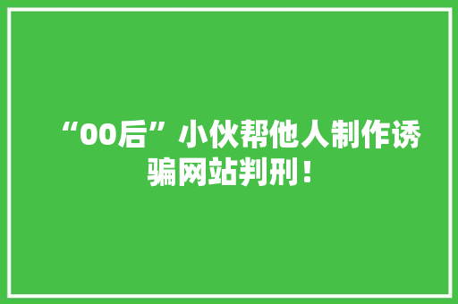 “00后”小伙帮他人制作诱骗网站判刑！