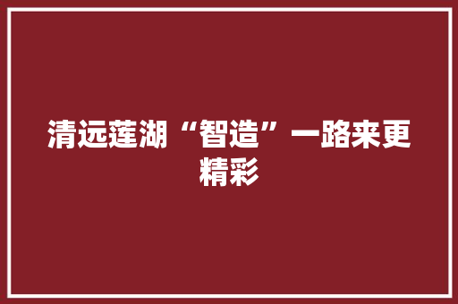 清远莲湖“智造”一路来更精彩