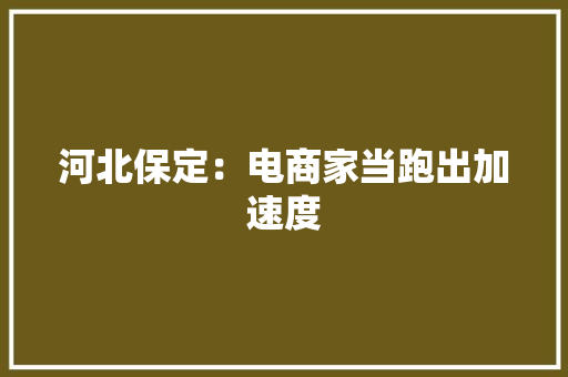 河北保定：电商家当跑出加速度