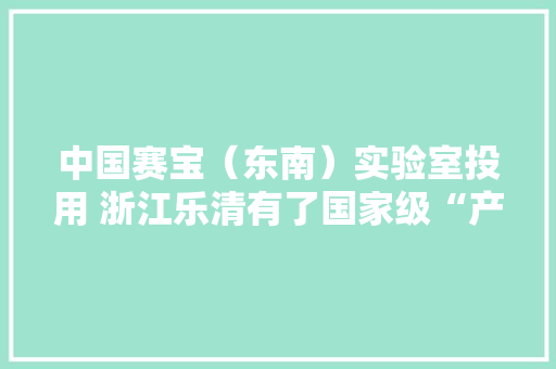 中国赛宝（东南）实验室投用 浙江乐清有了国家级“产品体检官”