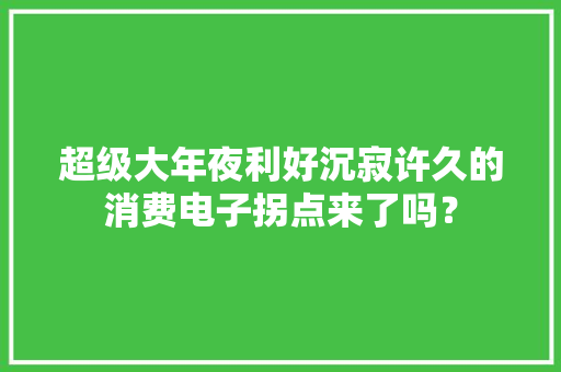 超级大年夜利好沉寂许久的消费电子拐点来了吗？ 超级大年夜利好沉寂许久的消费电子拐点来了吗？ 智能家居