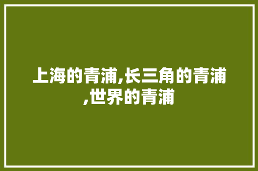 上海的青浦,长三角的青浦,世界的青浦 上海的青浦,长三角的青浦,世界的青浦 智能科技