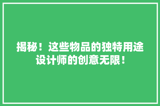揭秘！这些物品的独特用途设计师的创意无限！