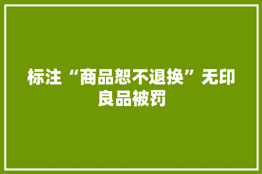 标注“商品恕不退换”无印良品被罚 标注“商品恕不退换”无印良品被罚 互联通信