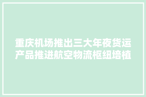 重庆机场推出三大年夜货运产品推进航空物流枢纽培植