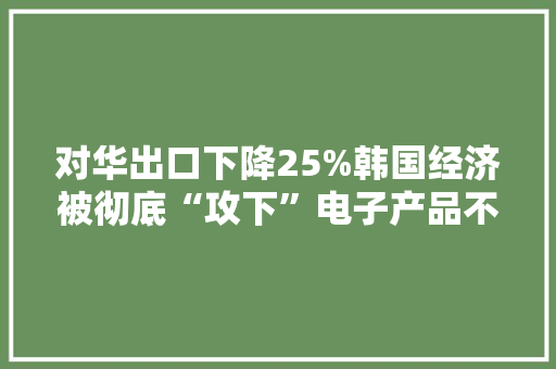 对华出口下降25%韩国经济被彻底“攻下”电子产品不吃喷鼻香了！ 对华出口下降25%韩国经济被彻底“攻下”电子产品不吃喷鼻香了！ 智能家居