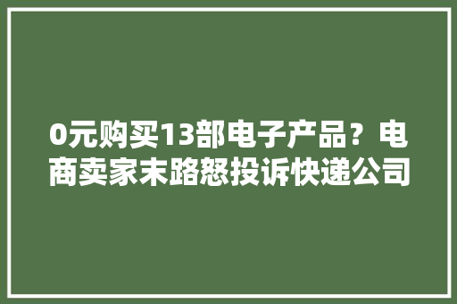 0元购买13部电子产品？电商卖家末路怒投诉快递公司一肚子苦水