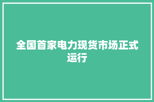 全国首家电力现货市场正式运行
