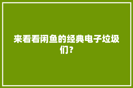 来看看闲鱼的经典电子垃圾们？ 来看看闲鱼的经典电子垃圾们？ 智能科技