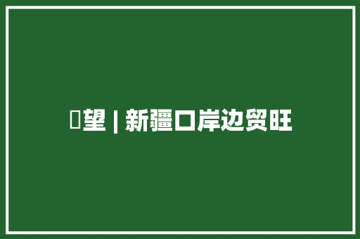 瞭望 | 新疆口岸边贸旺 瞭望 | 新疆口岸边贸旺 互联通信