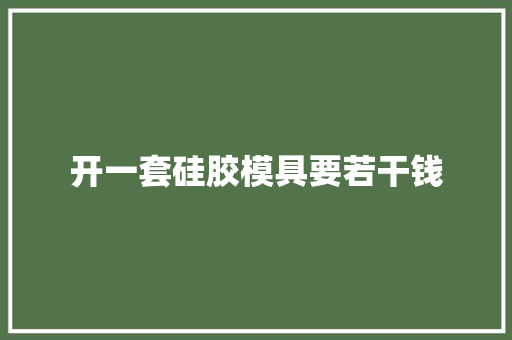 开一套硅胶模具要若干钱