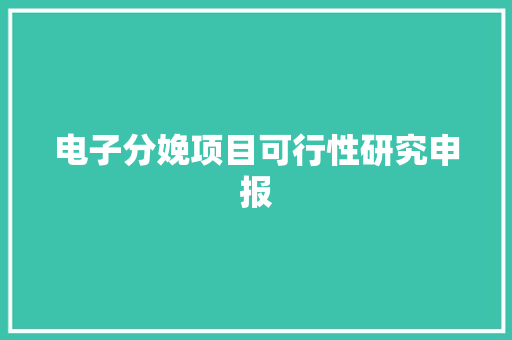 电子分娩项目可行性研究申报