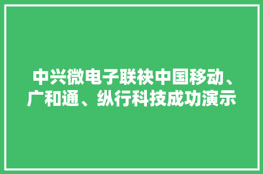 中兴微电子联袂中国移动、广和通、纵行科技成功演示NB-IoT/ZETA聪慧路灯营业 中兴微电子联袂中国移动、广和通、纵行科技成功演示NB-IoT/ZETA聪慧路灯营业 智能科技