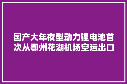 国产大年夜型动力锂电池首次从鄂州花湖机场空运出口