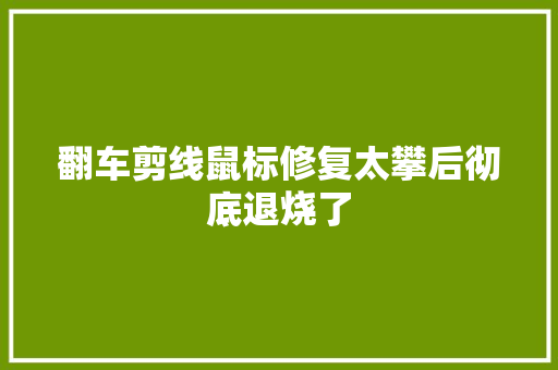 翻车剪线鼠标修复太攀后彻底退烧了 翻车剪线鼠标修复太攀后彻底退烧了 人工智能