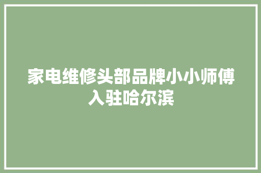 家电维修头部品牌小小师傅入驻哈尔滨 家电维修头部品牌小小师傅入驻哈尔滨 人工智能