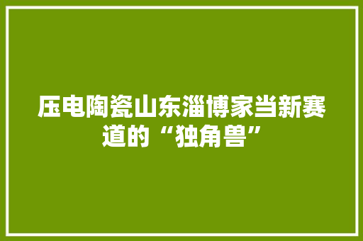 压电陶瓷山东淄博家当新赛道的“独角兽”