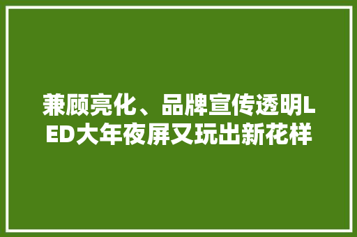 兼顾亮化、品牌宣传透明LED大年夜屏又玩出新花样 兼顾亮化、品牌宣传透明LED大年夜屏又玩出新花样 智能家居