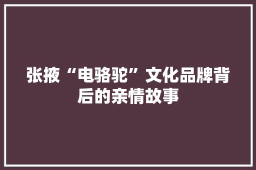 张掖“电骆驼”文化品牌背后的亲情故事 张掖“电骆驼”文化品牌背后的亲情故事 人工智能