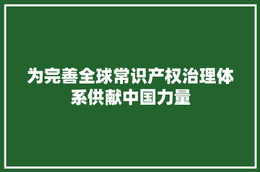 为完善全球常识产权治理体系供献中国力量 为完善全球常识产权治理体系供献中国力量 智能科技