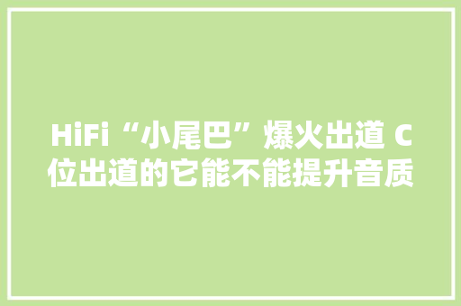HiFi“小尾巴”爆火出道 C位出道的它能不能提升音质？