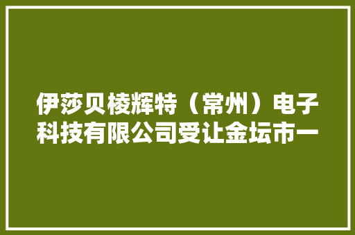 伊莎贝棱辉特（常州）电子科技有限公司受让金坛市一地块成交价232.6万元