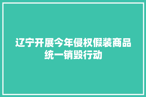 辽宁开展今年侵权假装商品统一销毁行动