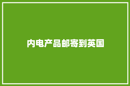内电产品邮寄到英国 内电产品邮寄到英国 人工智能