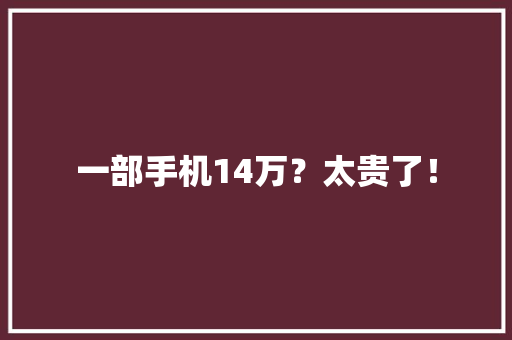 一部手机14万？太贵了！