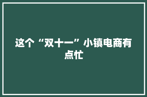 这个“双十一”小镇电商有点忙