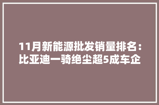 11月新能源批发销量排名：比亚迪一骑绝尘超5成车企夹缝求生计 11月新能源批发销量排名：比亚迪一骑绝尘超5成车企夹缝求生计 智能家居