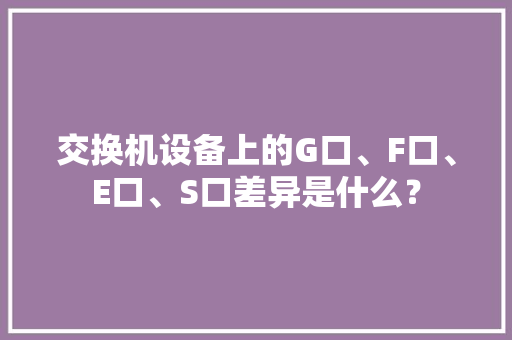 交换机设备上的G口、F口、E口、S口差异是什么？ 交换机设备上的G口、F口、E口、S口差异是什么？ 智能科技