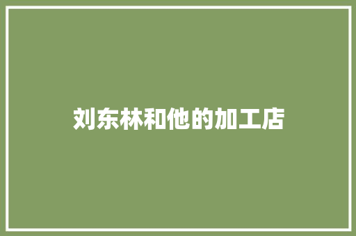刘东林和他的加工店 刘东林和他的加工店 人工智能