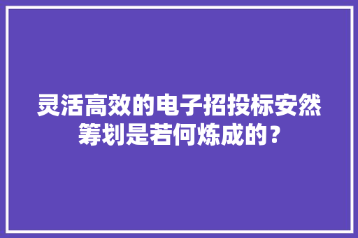 灵活高效的电子招投标安然筹划是若何炼成的？