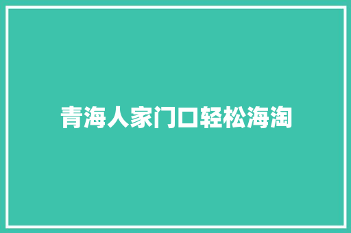 青海人家门口轻松海淘 青海人家门口轻松海淘 智能科技