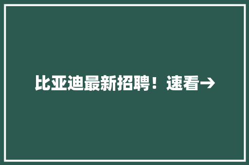 比亚迪最新招聘！速看→