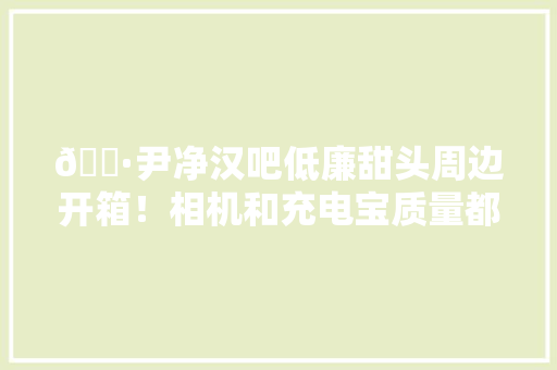 📷尹净汉吧低廉甜头周边开箱！相机和充电宝质量都挺好的🥰 📷尹净汉吧低廉甜头周边开箱！相机和充电宝质量都挺好的🥰 人工智能