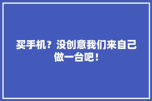 买手机？没创意我们来自己做一台吧！