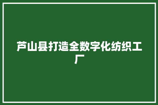 芦山县打造全数字化纺织工厂