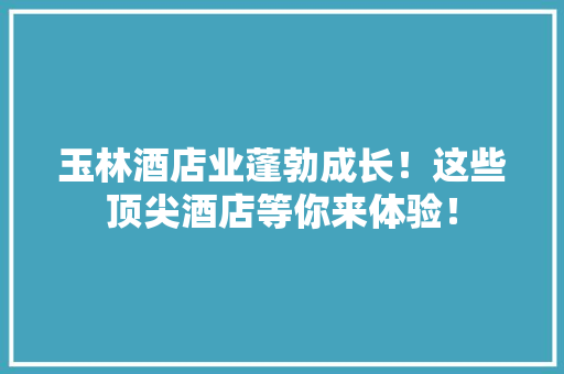 玉林酒店业蓬勃成长！这些顶尖酒店等你来体验！