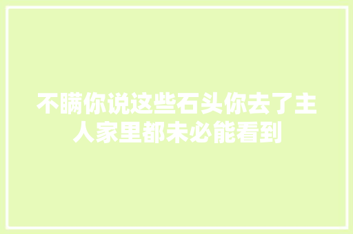 不瞒你说这些石头你去了主人家里都未必能看到 不瞒你说这些石头你去了主人家里都未必能看到 智能家居