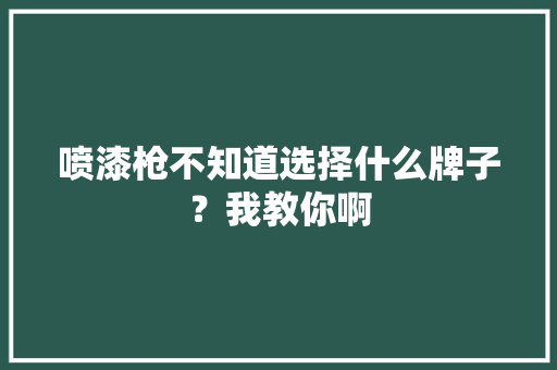 喷漆枪不知道选择什么牌子？我教你啊 喷漆枪不知道选择什么牌子？我教你啊 互联通信
